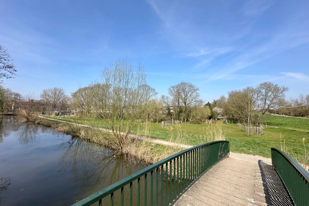 Foto 43 van Diederik van Schagenplantsoen 9