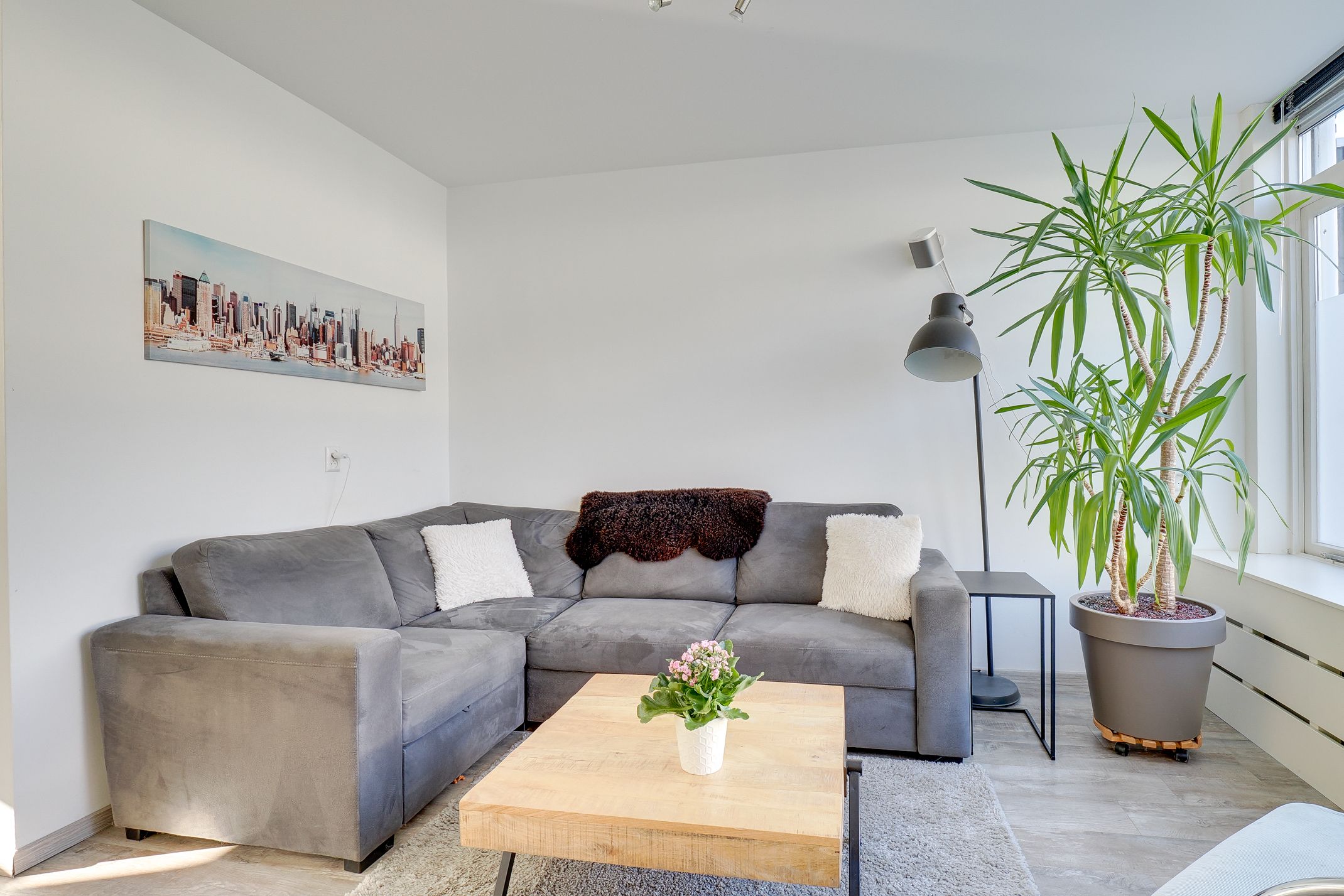 Foto 3 van Magnoliastraat 17