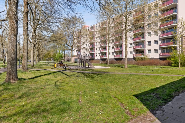 Foto 23 van Callistopad 15