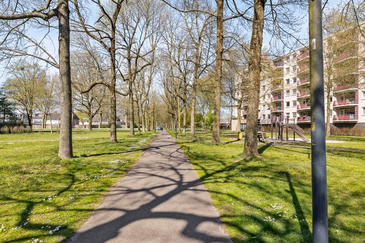 Foto 24 van Callistopad 15