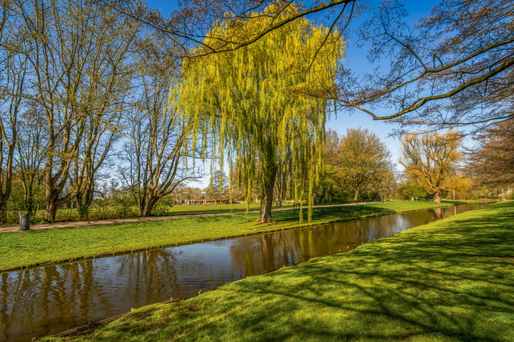 Foto 5 van Vroesenlaan 50-B