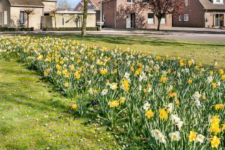 Foto 36 van Peellandsingel 3