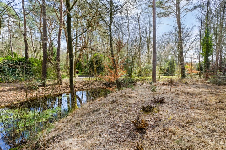 Foto 10 van De Schure 33