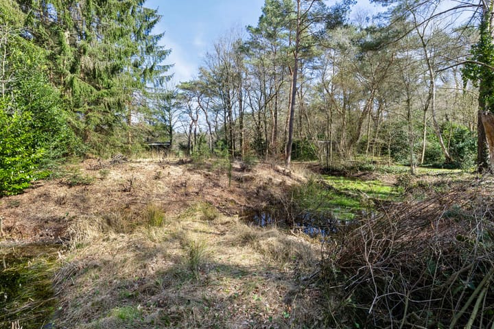 Foto 6 van De Schure 33