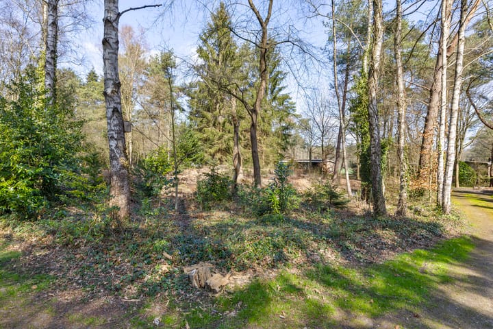 Foto 5 van De Schure 33