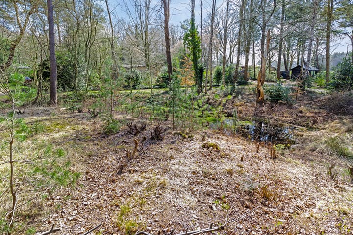 Foto 8 van De Schure 33