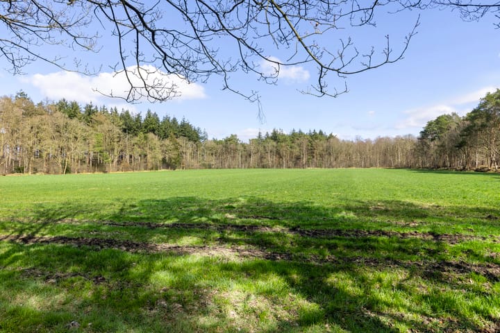 Foto 13 van De Schure 33