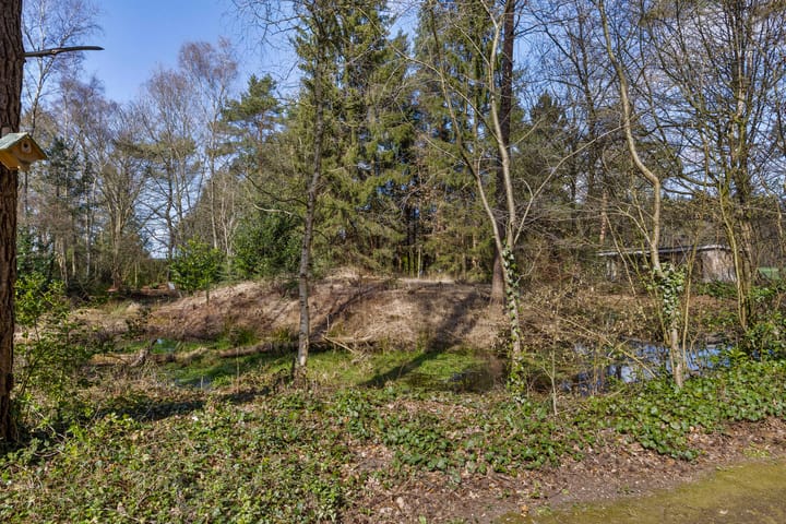 Foto 11 van De Schure 33