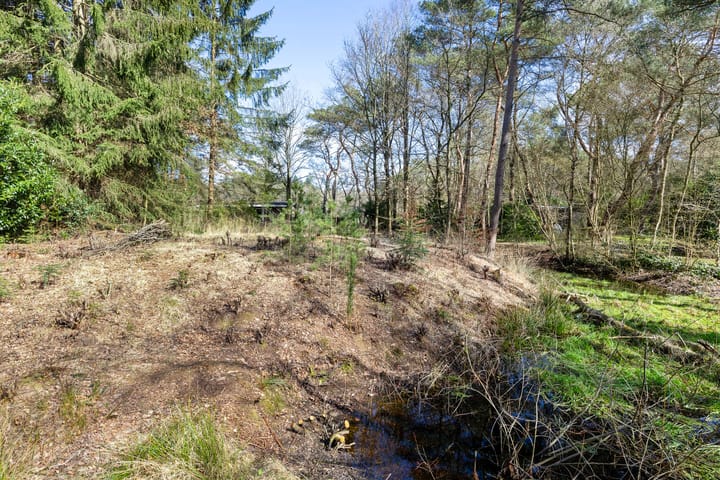 Foto 7 van De Schure 33