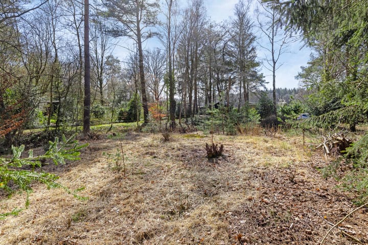 Foto 9 van De Schure 33