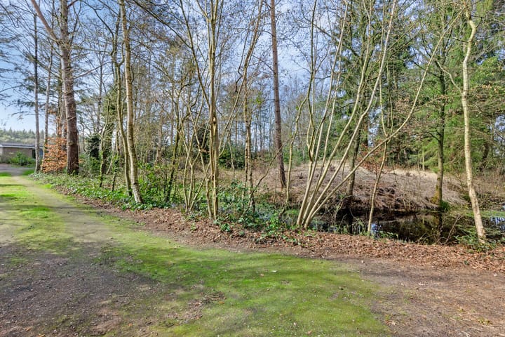 Foto 12 van De Schure 33