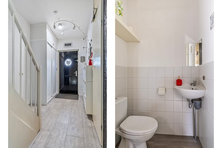 Foto 3 van Puntkroos 43