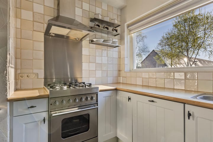 Foto 11 van Puntkroos 43