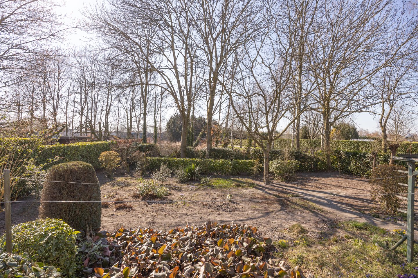 Foto 40 van Grauwe Polder 106