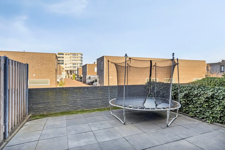 Foto 24 van Puntkroos 43