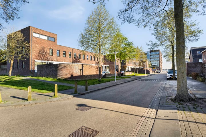 Foto 26 van Puntkroos 43