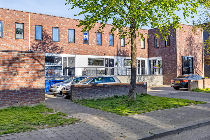 Foto 28 van Puntkroos 43