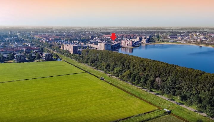 Foto 31 van Puntkroos 43