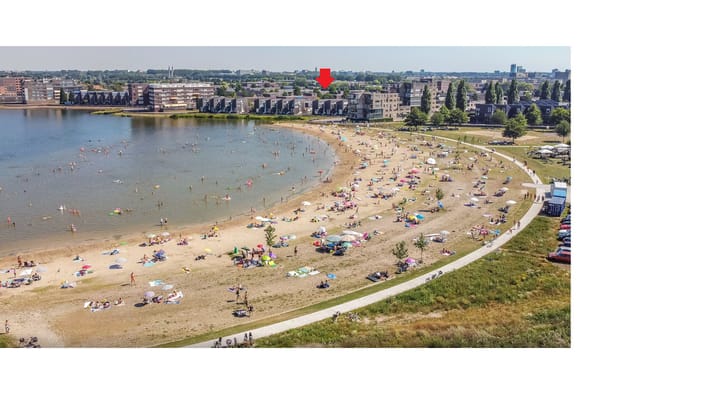 Foto 30 van Puntkroos 43