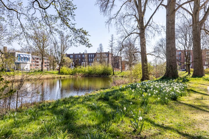 Foto 49 van Hora Siccamasingel 294