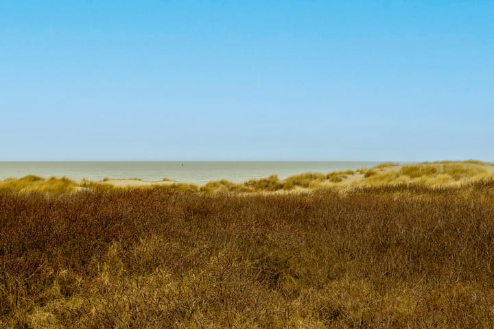 Foto 42 van Van Speykstraat 32