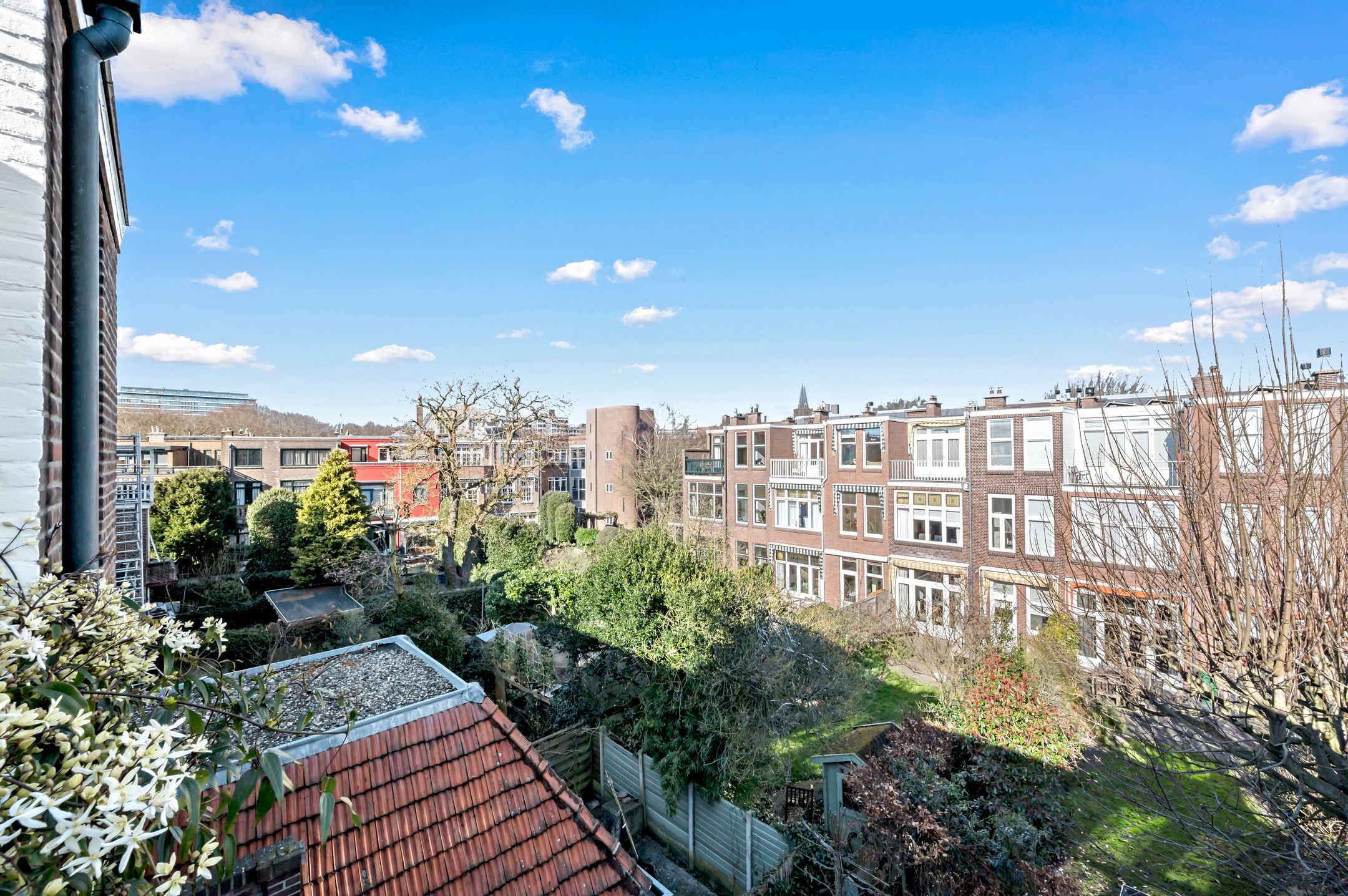 Foto 57 van Mesdagstraat 51