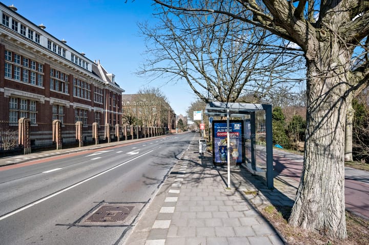 Foto 65 van Mesdagstraat 51