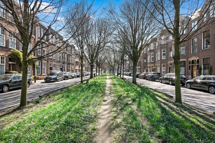 Foto 66 van Mesdagstraat 51