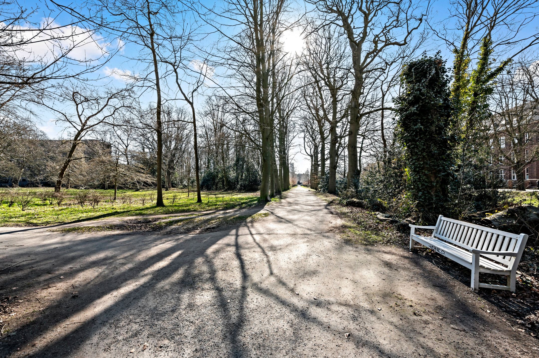 Foto 69 van Mesdagstraat 51