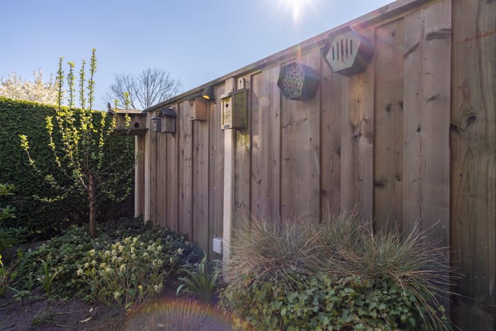 Foto 32 van Joke Smitlanden 31