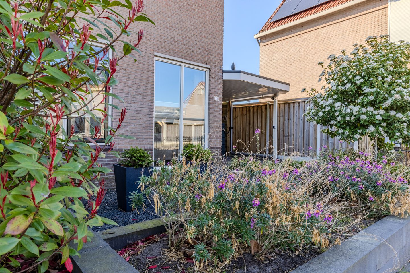 Photo 35 of Joke Smitlanden 31