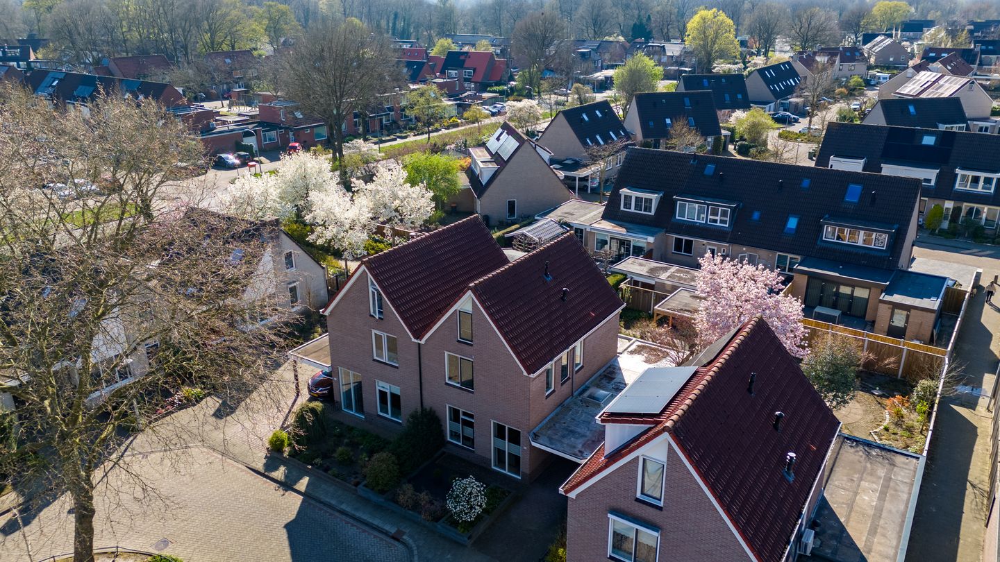 Photo 40 of Joke Smitlanden 31