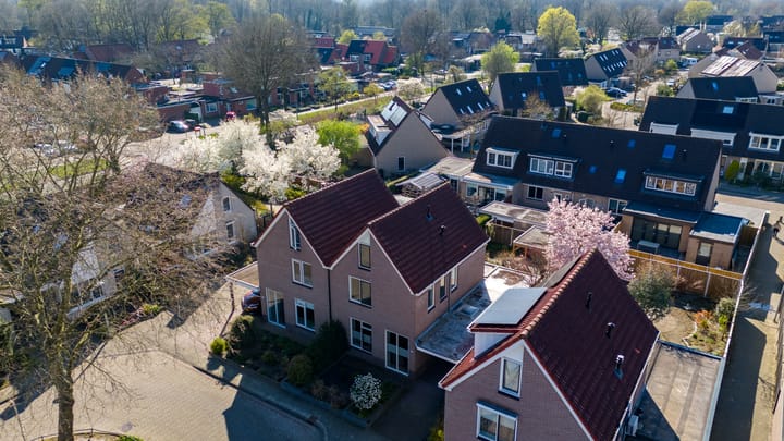 Foto 40 van Joke Smitlanden 31