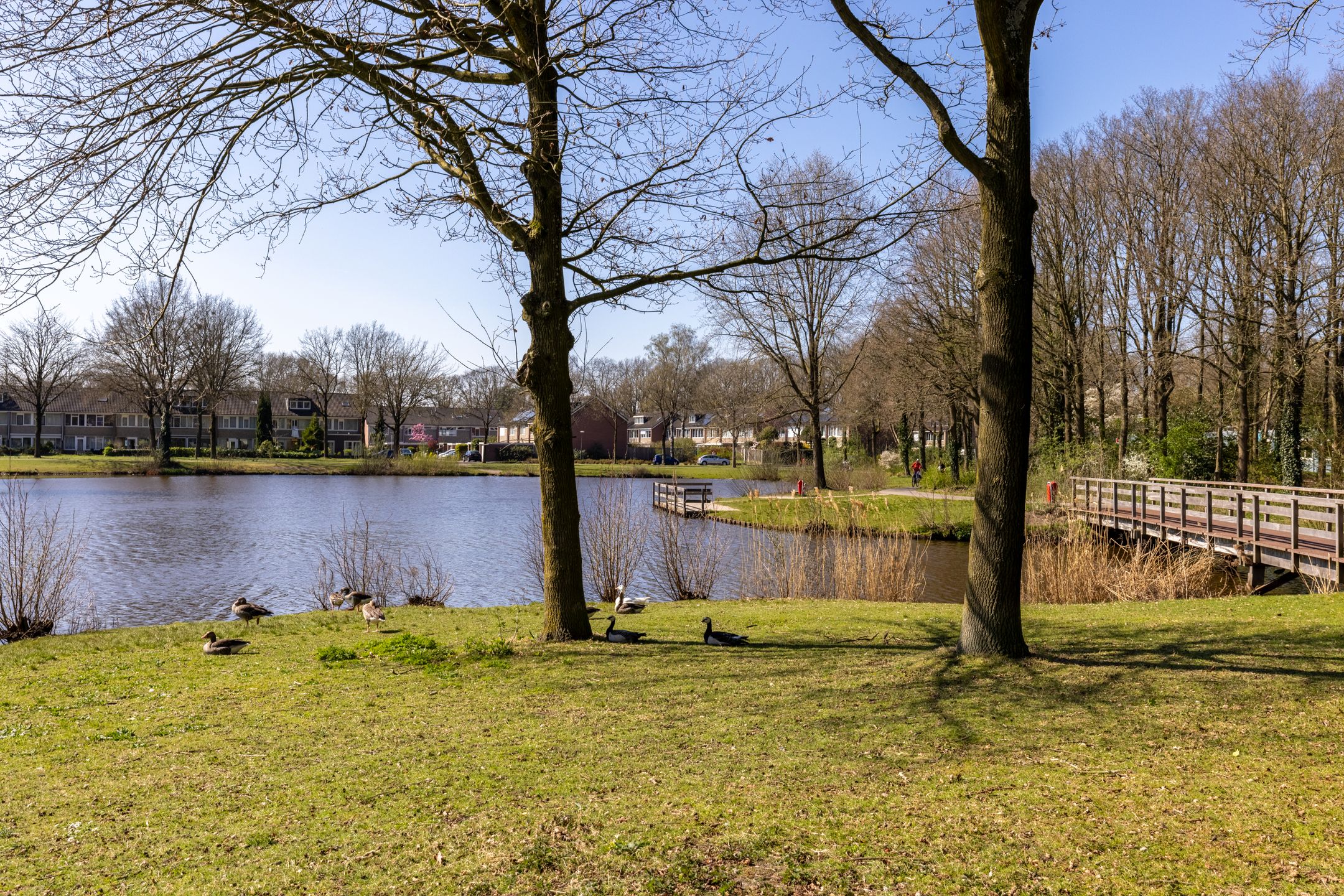 Photo 42 of Joke Smitlanden 31