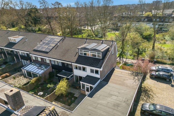 Foto 31 van Hoornbloem 24