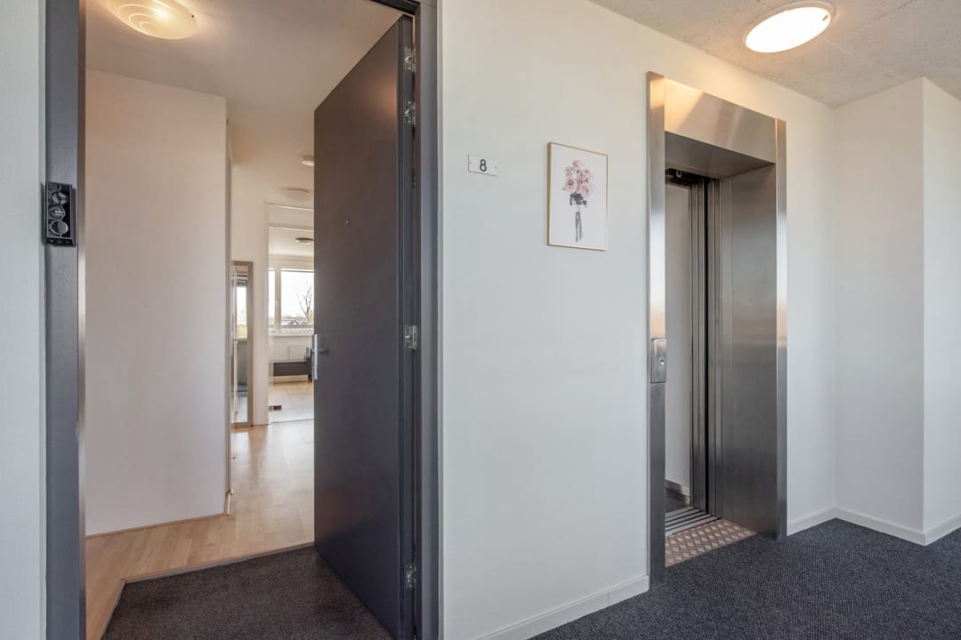 Foto 7 van Waddenzee 8