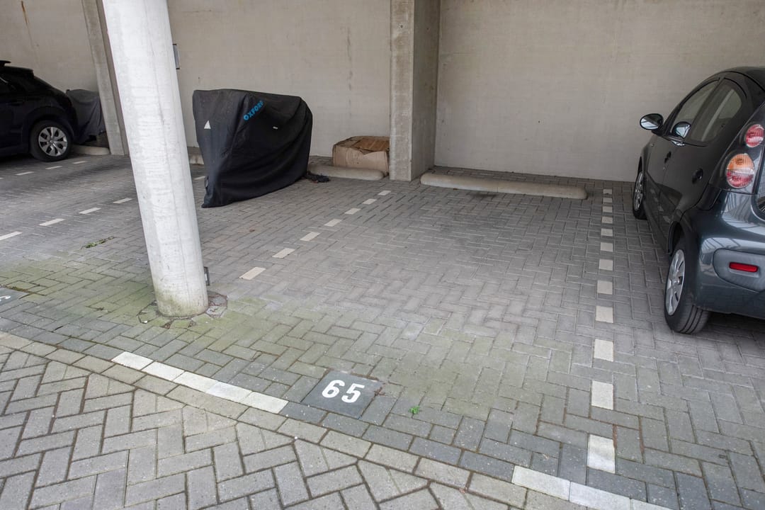 Foto 28 van Waddenzee 8