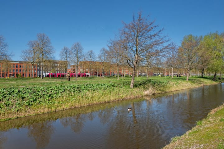 Foto 29 van Waddenzee 8