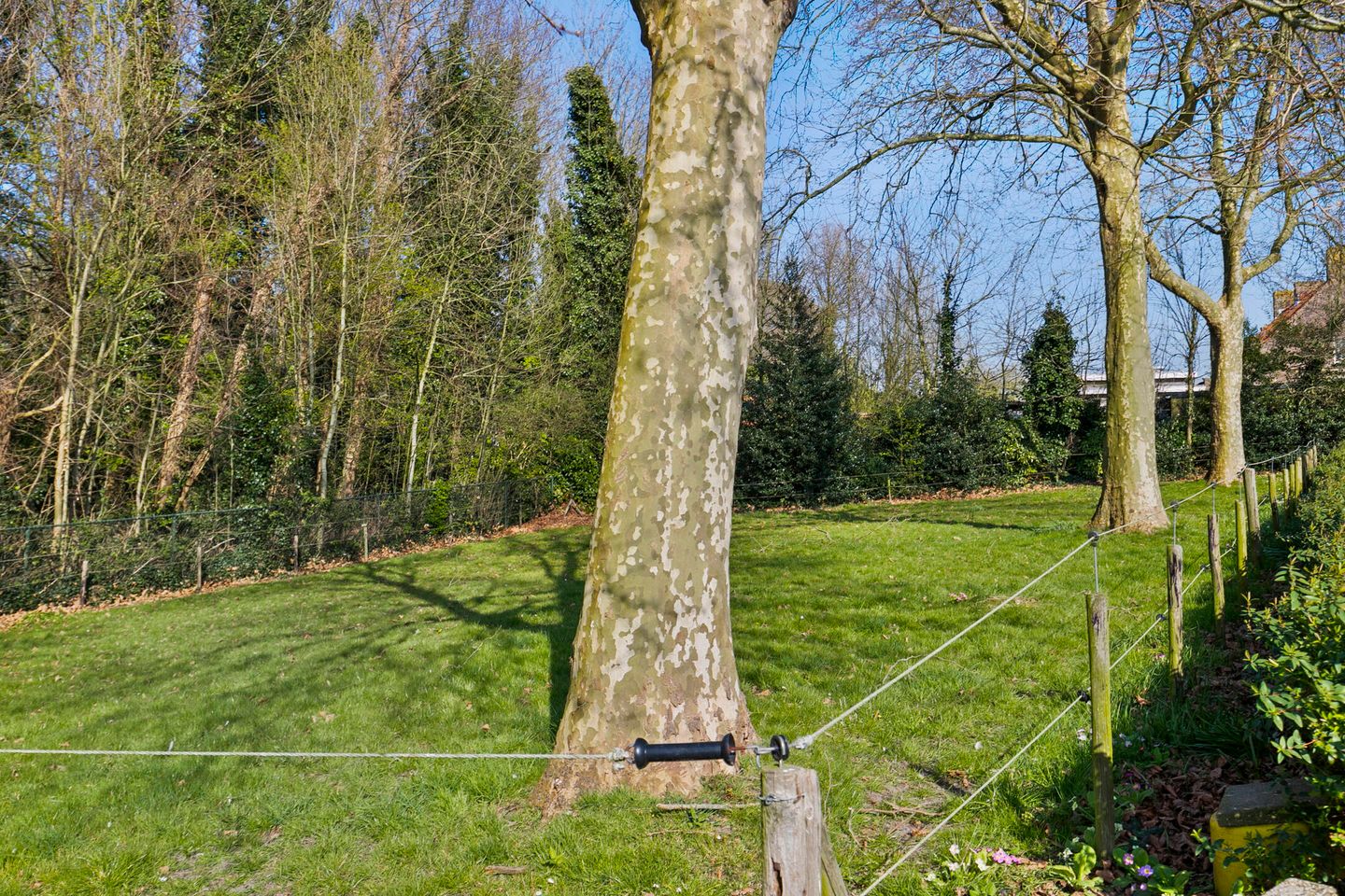 Foto 29 van van Hattumstraat 16