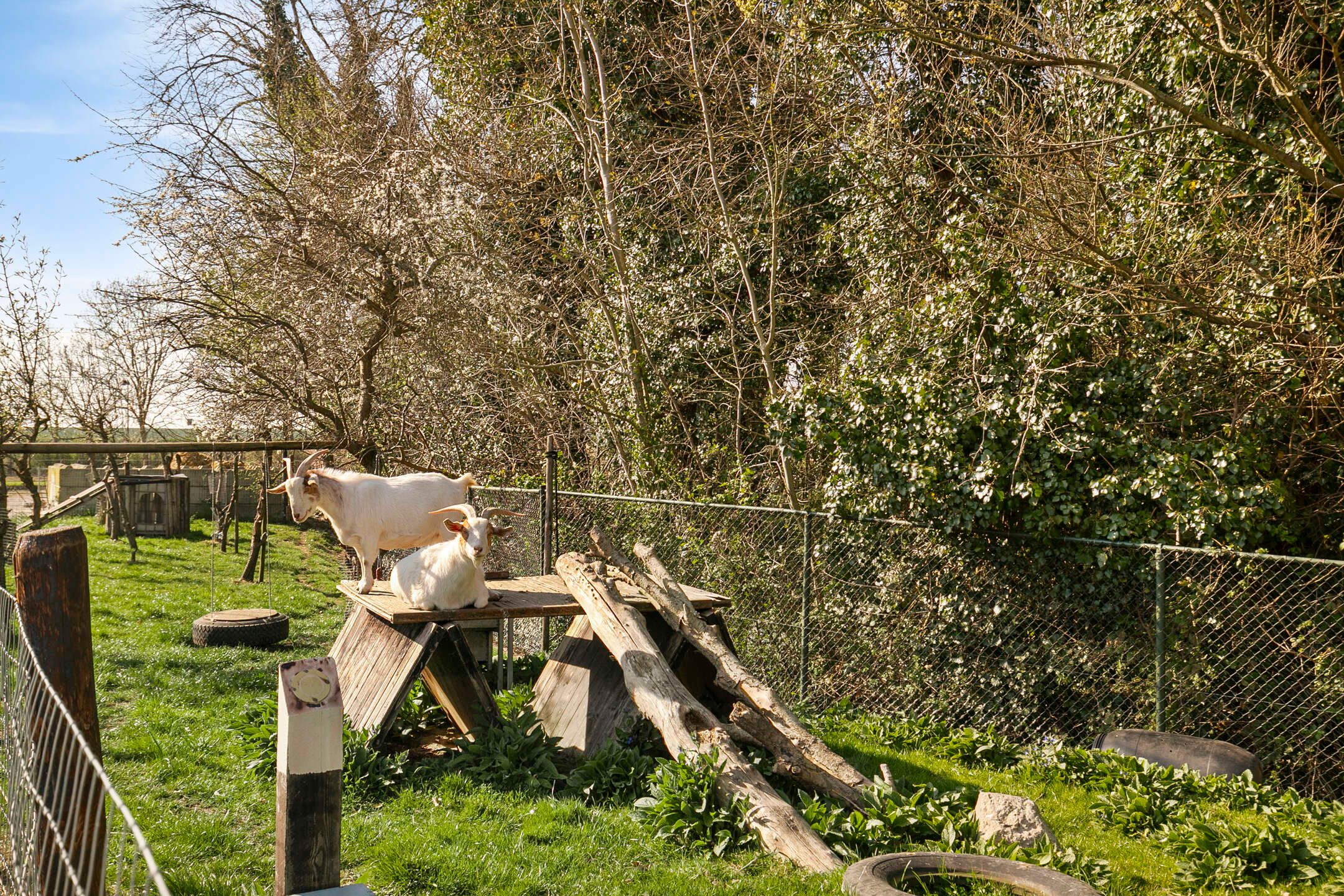 Foto 30 van van Hattumstraat 16