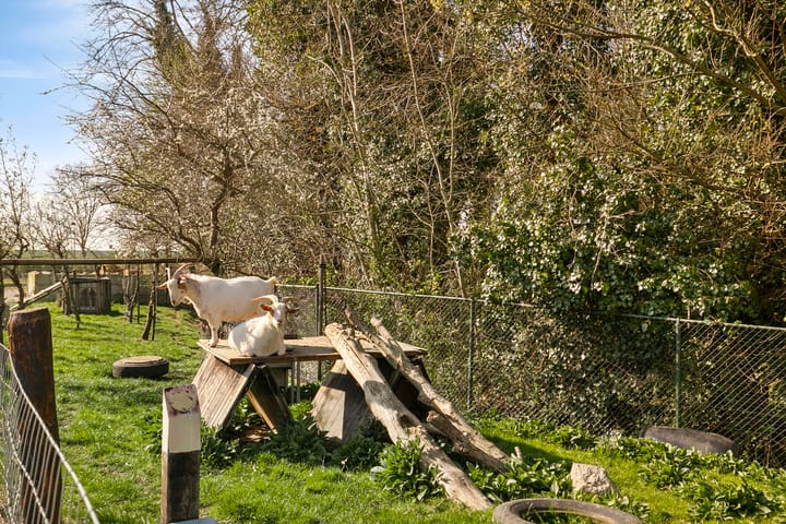 Photo 30 of van Hattumstraat 16