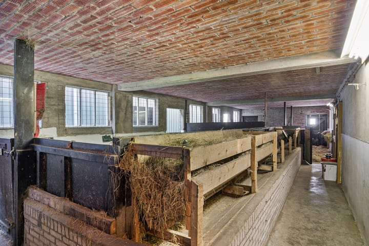 Photo 34 of van Hattumstraat 16