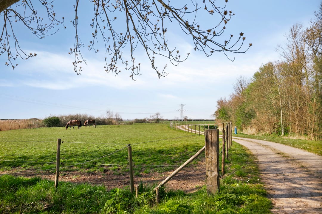 Foto 43 van van Hattumstraat 16