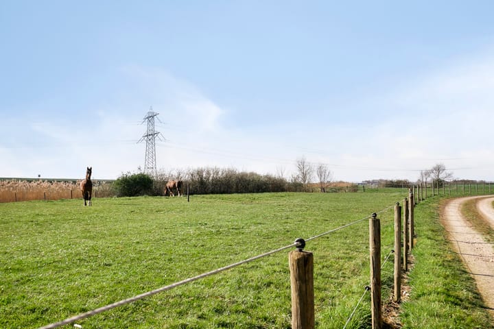 Foto 4 van van Hattumstraat 16