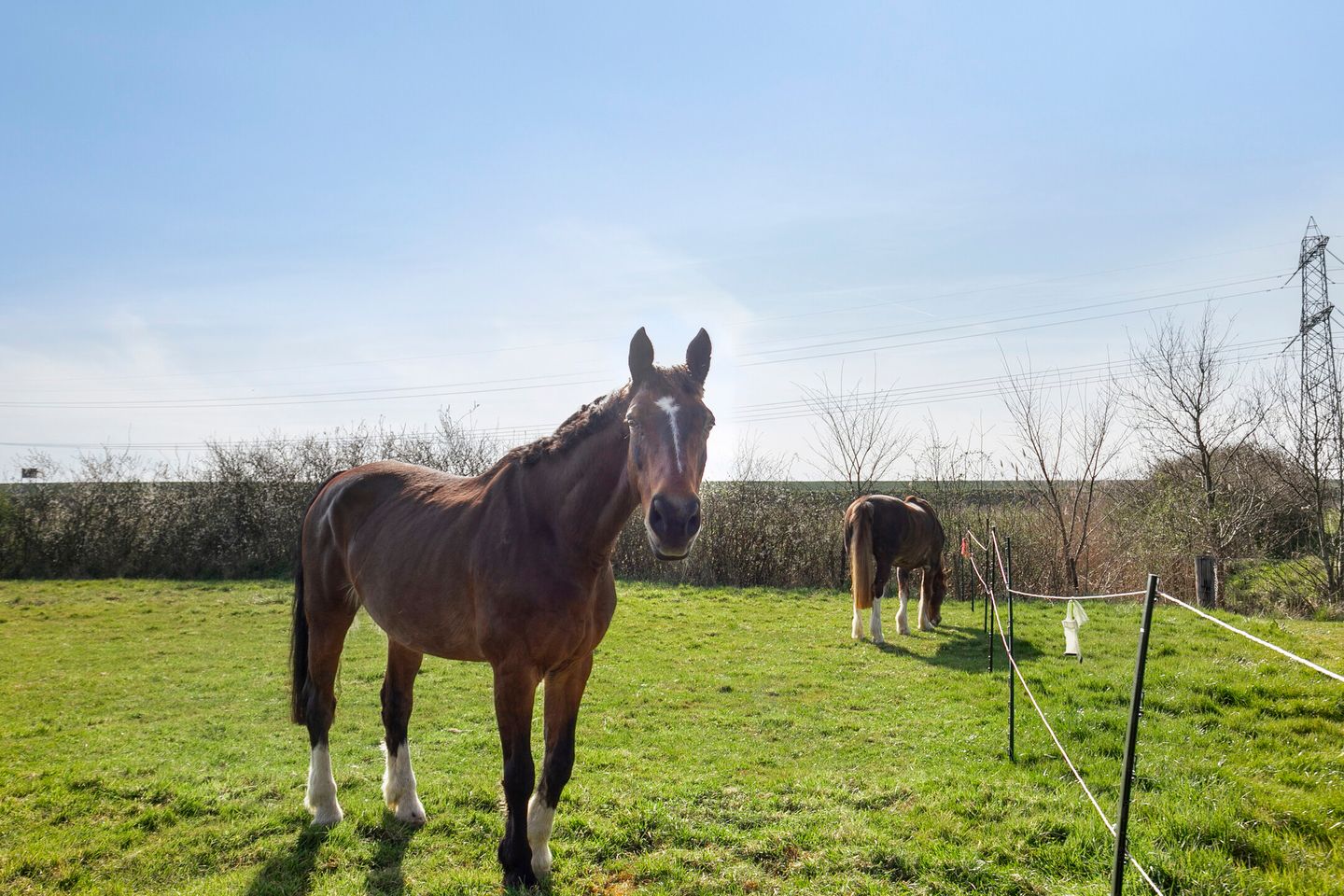 Foto 44 van van Hattumstraat 16