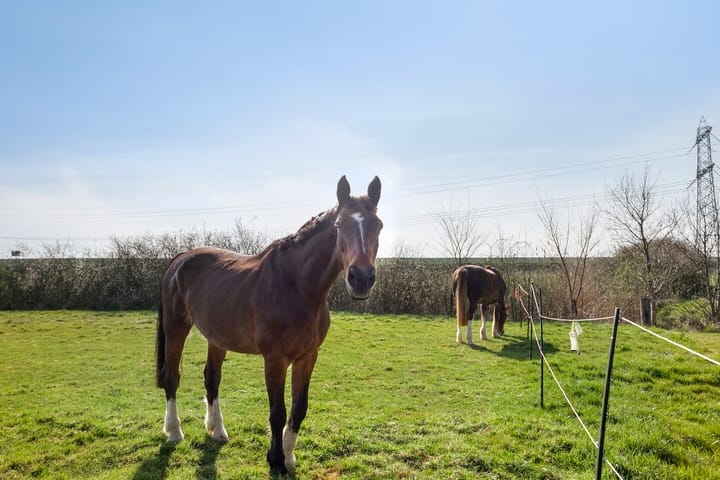 Photo 44 of van Hattumstraat 16