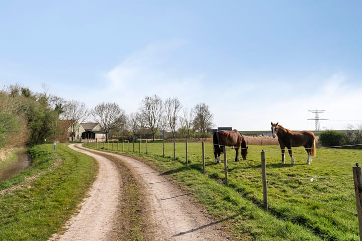 Photo 45 of van Hattumstraat 16