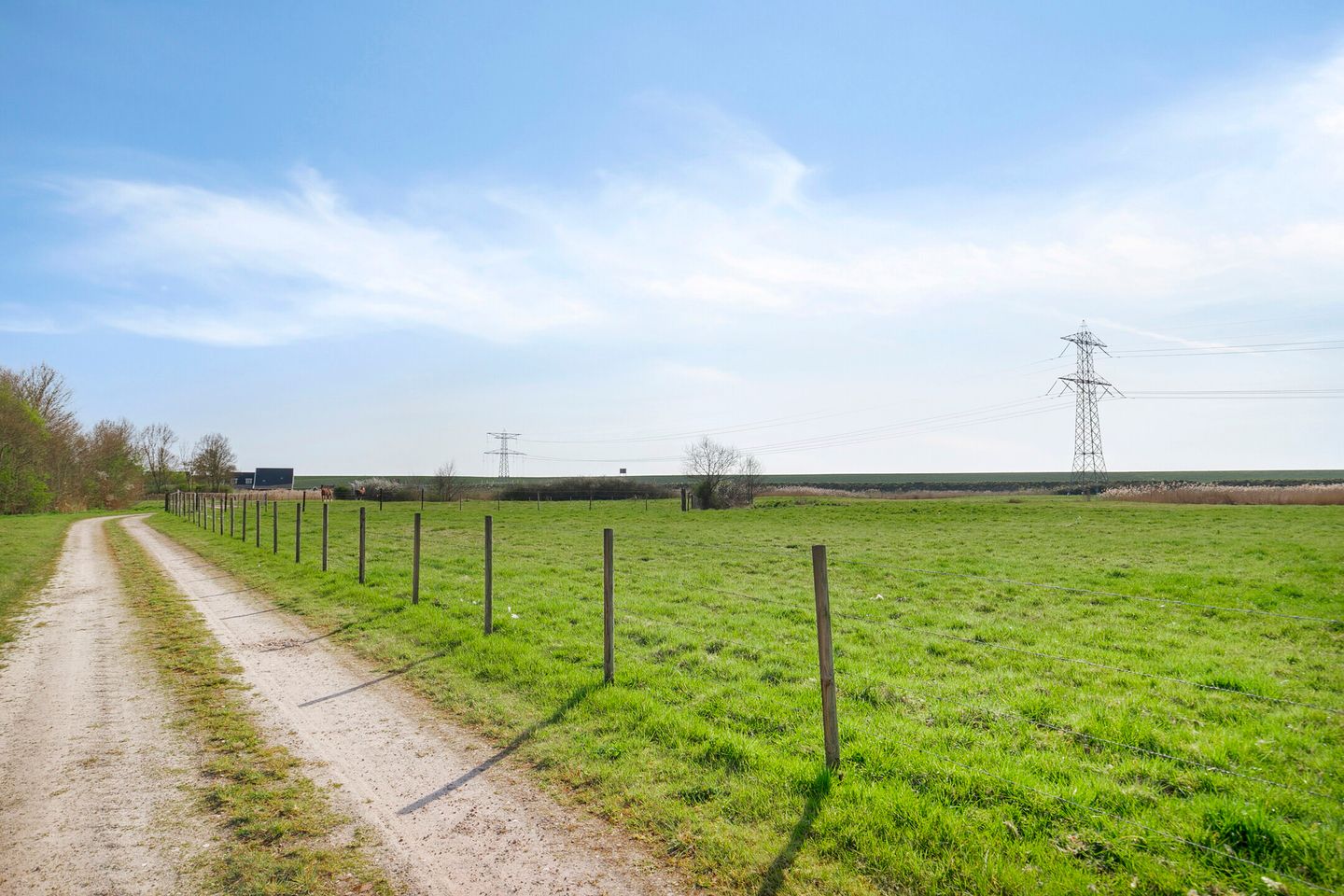 Foto 49 van van Hattumstraat 16