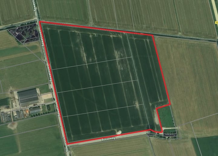 Bosseweg -ONG