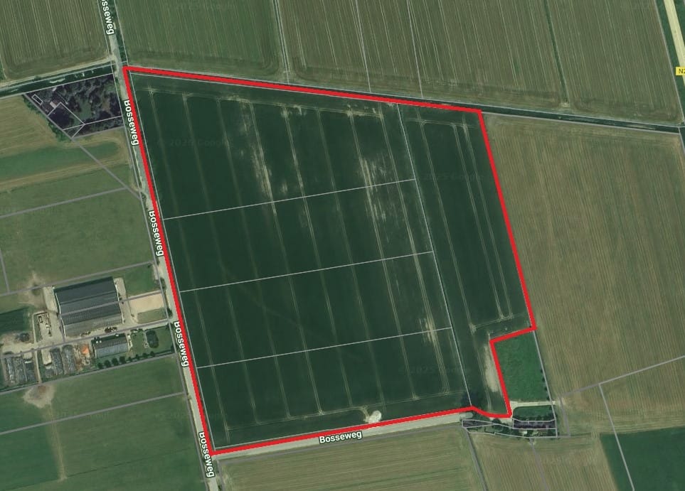 Bosseweg - Wijk en Aalburg - Afbeelding 1